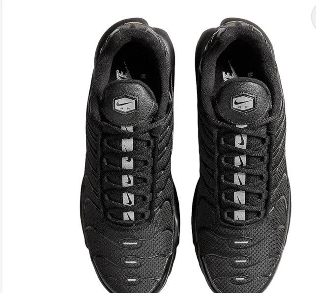 Nike Air Max Plus TN "Black Silver"