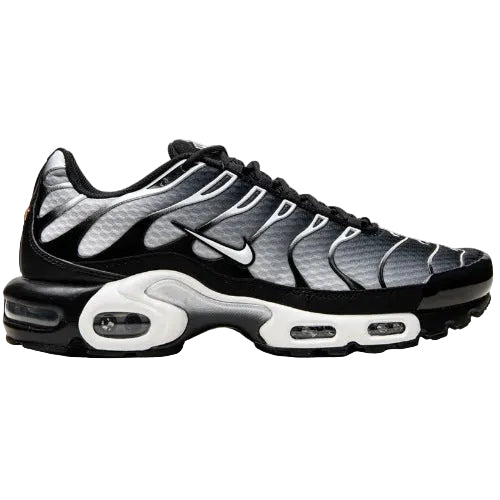 Nike Air Max Plus TN “Black Metallic Silver”