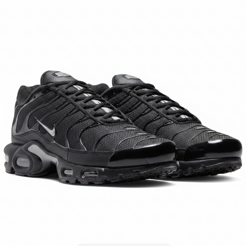Nike Air Max Plus TN "Black Silver"