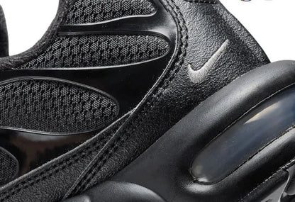 Nike Air Max Plus TN "Black Silver"