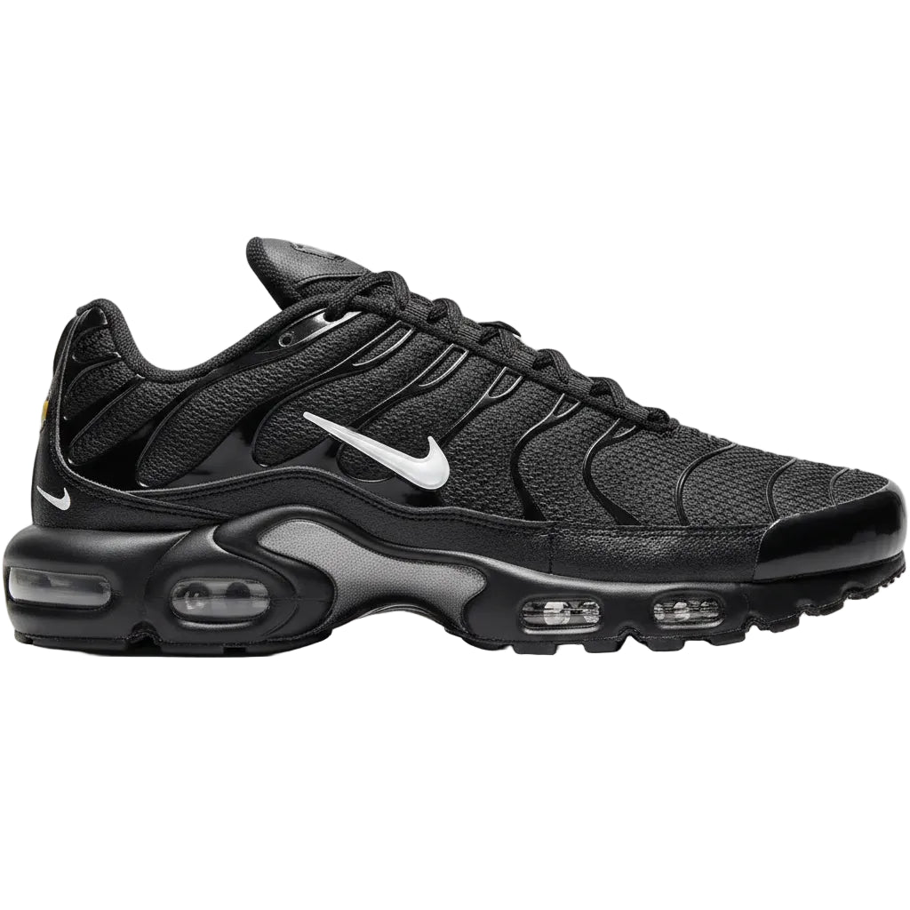 Nike Air Max Plus TN "Black Silver"